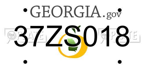 37ZS018 Georgia License Plate