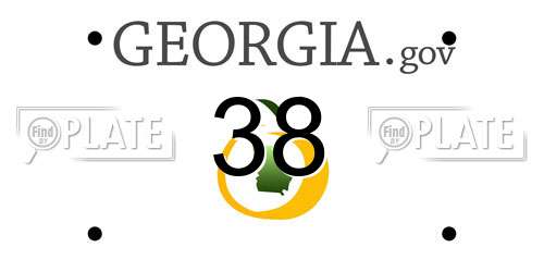 38 Georgia License Plate