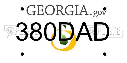 380DAD Georgia License Plate