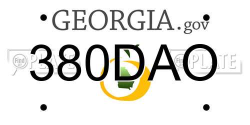 380DAO Georgia License Plate