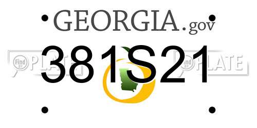 381S21 Georgia License Plate