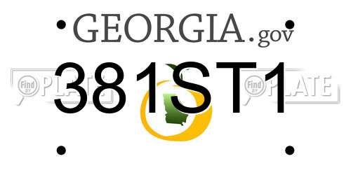 381ST1 Georgia License Plate