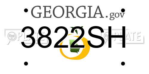 3822SH Georgia License Plate