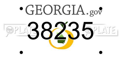 38235 Georgia License Plate
