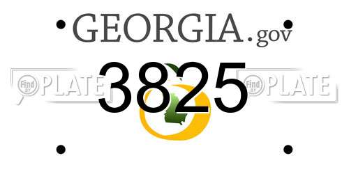 3825 Georgia License Plate