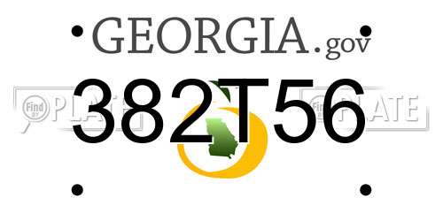 382T56 Georgia License Plate