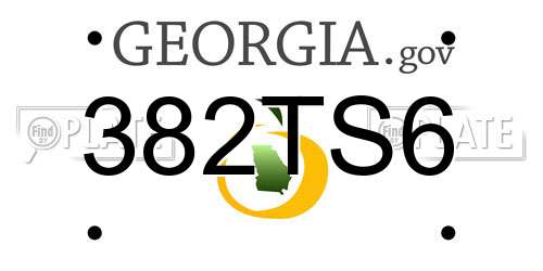 382TS6 Georgia License Plate
