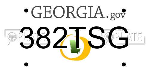 382TSG Georgia License Plate