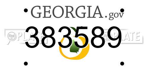 383589 Georgia License Plate