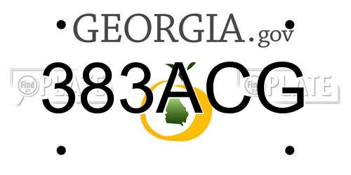 383ACG Georgia License Plate
