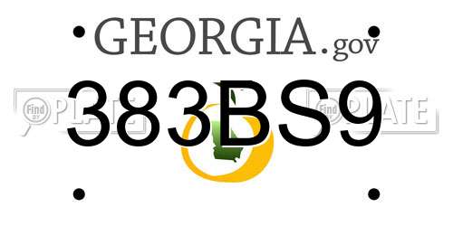 383BS9 Georgia License Plate