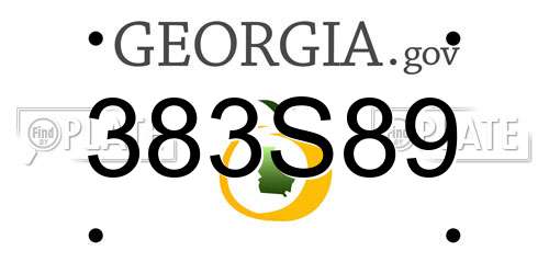 383S89 Georgia License Plate