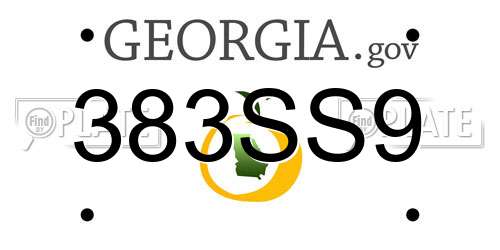 383SS9 Georgia License Plate