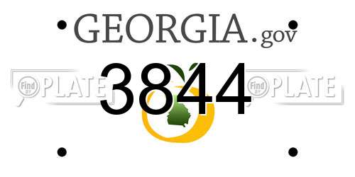 3844 Georgia License Plate