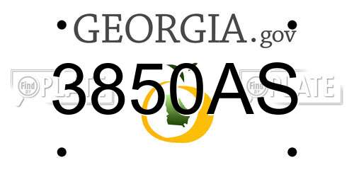 3850AS Georgia License Plate