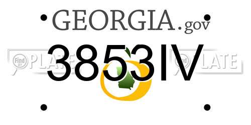 3853IV Georgia License Plate