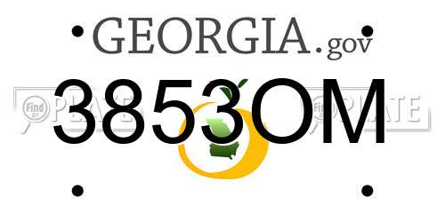3853OM Georgia License Plate