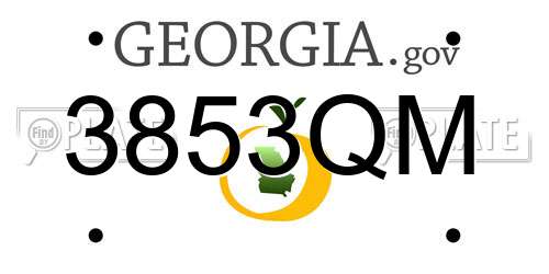 3853QM Georgia License Plate