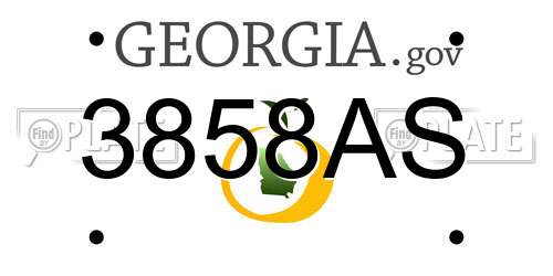 3858AS Georgia License Plate