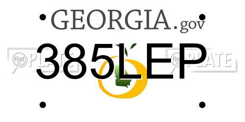 385LEP Georgia License Plate