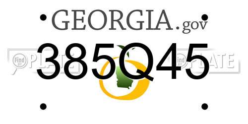 385Q45 Georgia License Plate