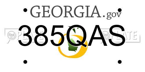 385QAS Georgia License Plate