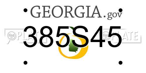 385S45 Georgia License Plate