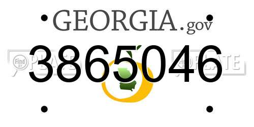 3865046 Georgia License Plate