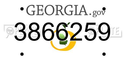 3866259 Georgia License Plate