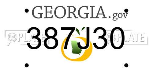 387J30 Georgia License Plate