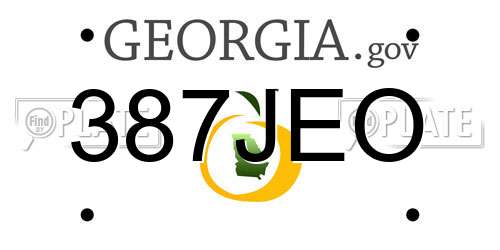 387JEO Georgia License Plate