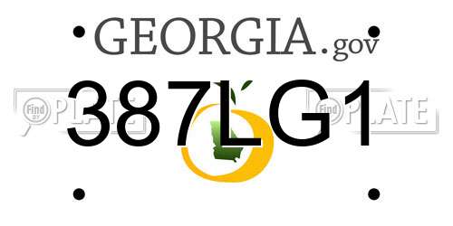 387LG1 Georgia License Plate