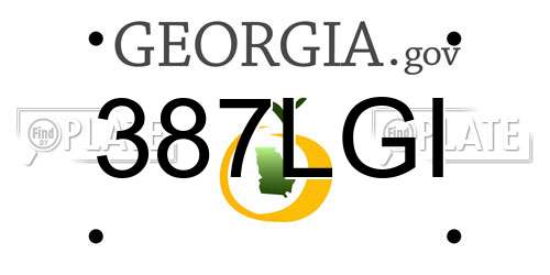 387LGI Georgia License Plate