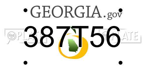 387T56 Georgia License Plate