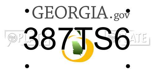 387TS6 Georgia License Plate