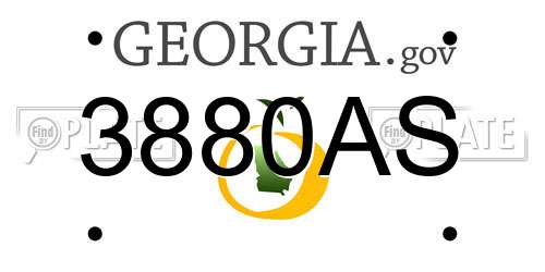 3880AS Georgia License Plate