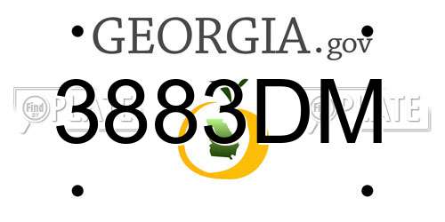 3883DM Georgia License Plate