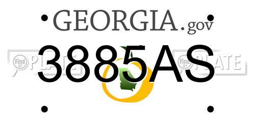 3885AS Georgia License Plate