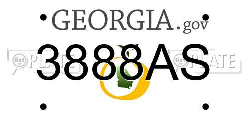 3888AS Georgia License Plate