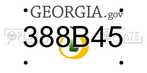 388B45 Georgia License Plate