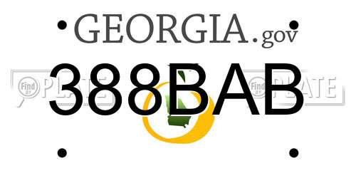 388BAB Georgia License Plate