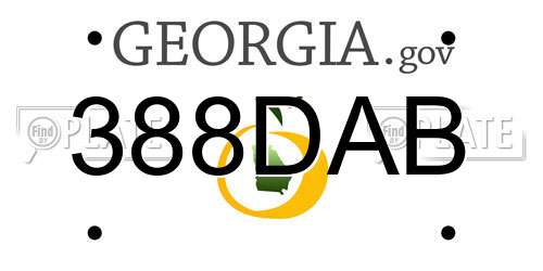 388DAB Georgia License Plate