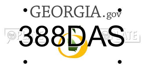 388DAS Georgia License Plate