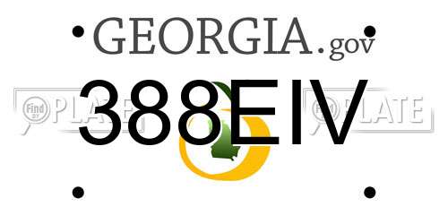 388EIV Georgia License Plate