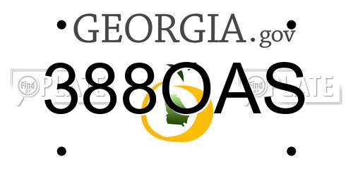 388OAS Georgia License Plate