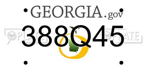 388Q45 Georgia License Plate