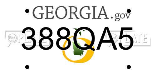 388QA5 Georgia License Plate