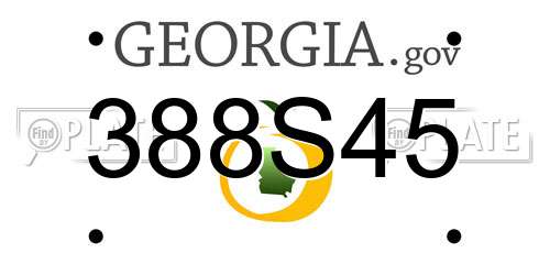 388S45 Georgia License Plate