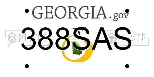 388SAS Georgia License Plate