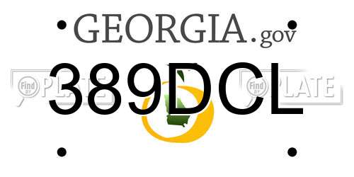 389DCL Georgia License Plate